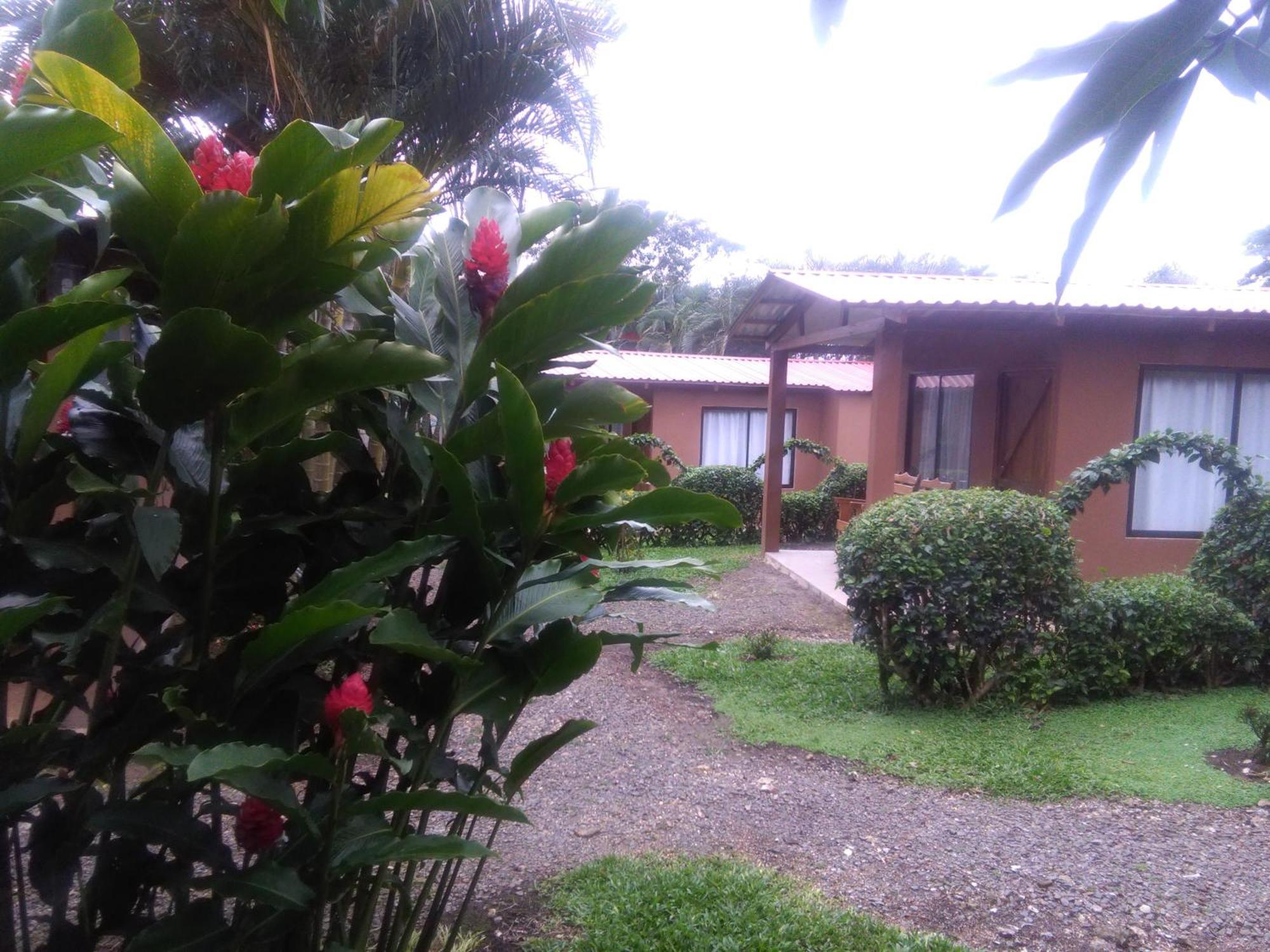 Slow Travel Lodge Upala ภายนอก รูปภาพ
