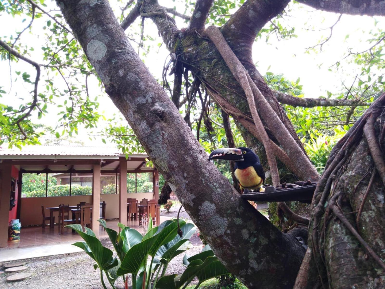 Slow Travel Lodge Upala ภายนอก รูปภาพ